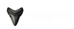Lowcountry Unearthed